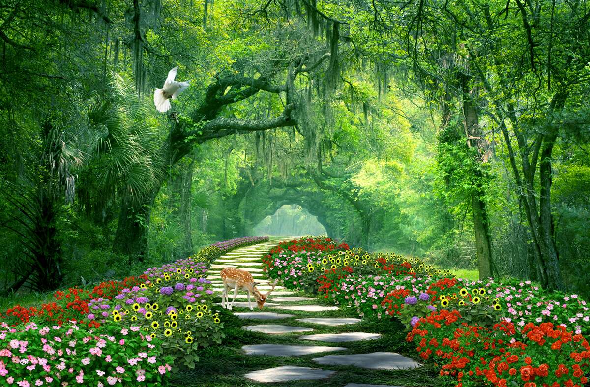 Papier peint un sentier tropical coloré et fleuri à travers la forêt