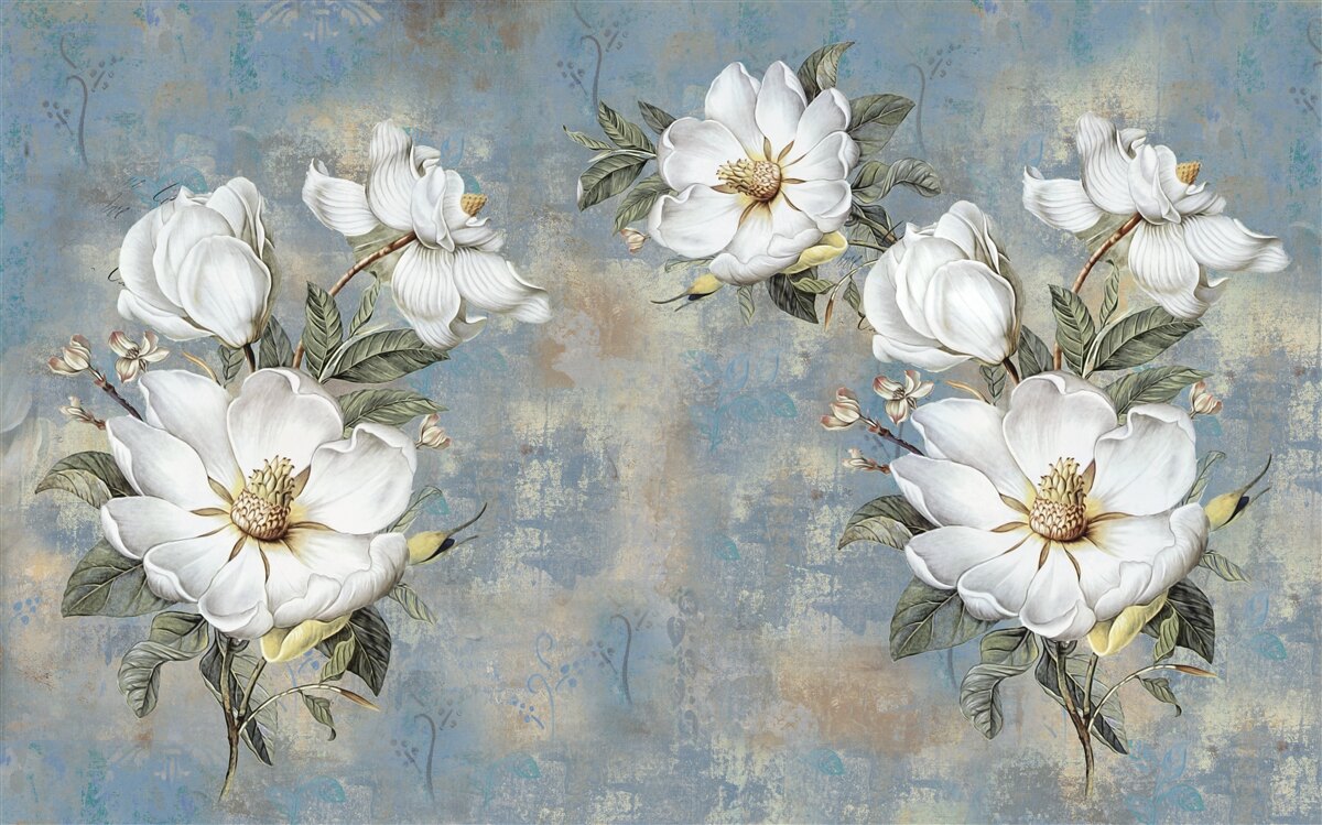 Papier peint Fleurs blanches sur un mur en béton peint