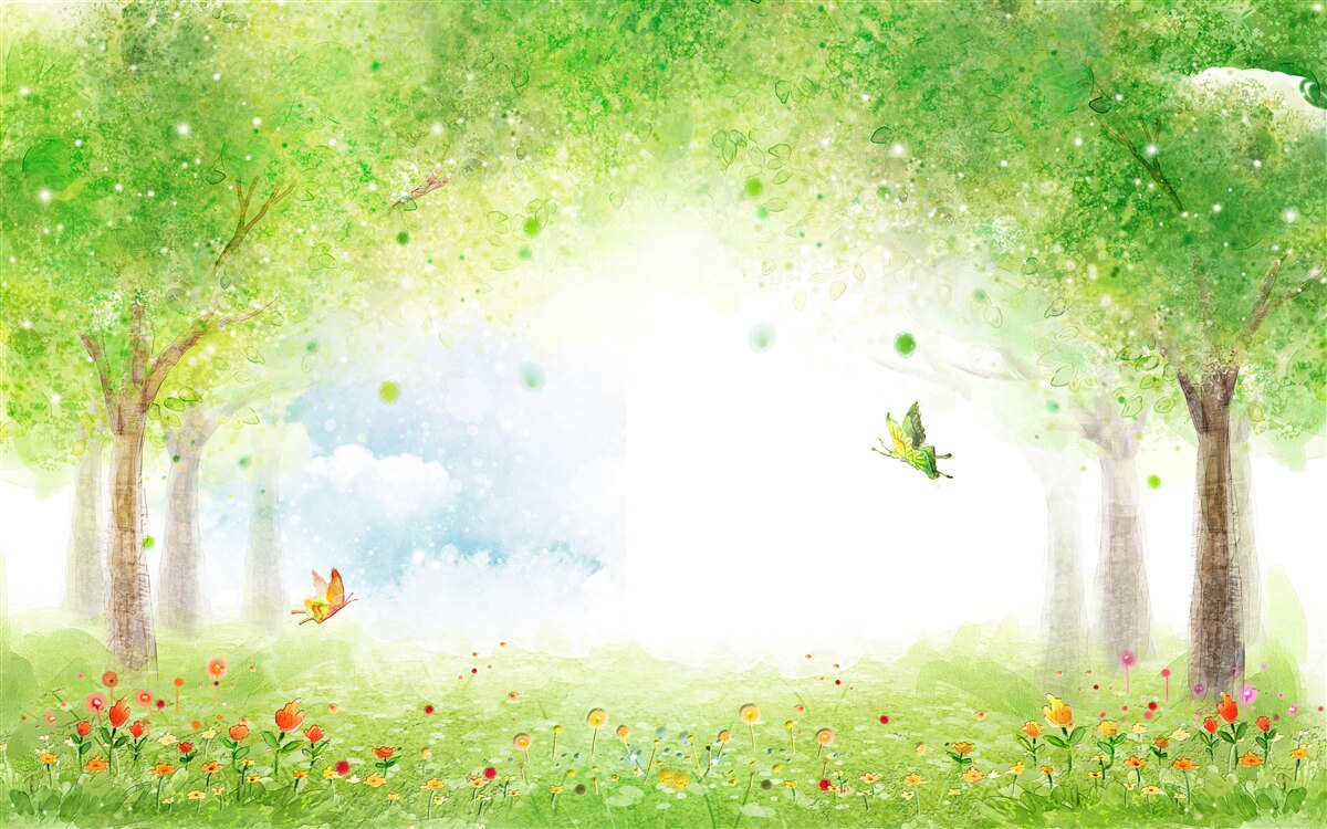 Papier peint brume intrigante dans une forêt magique