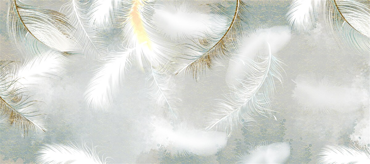 Papier peint plumes en arrière-plan