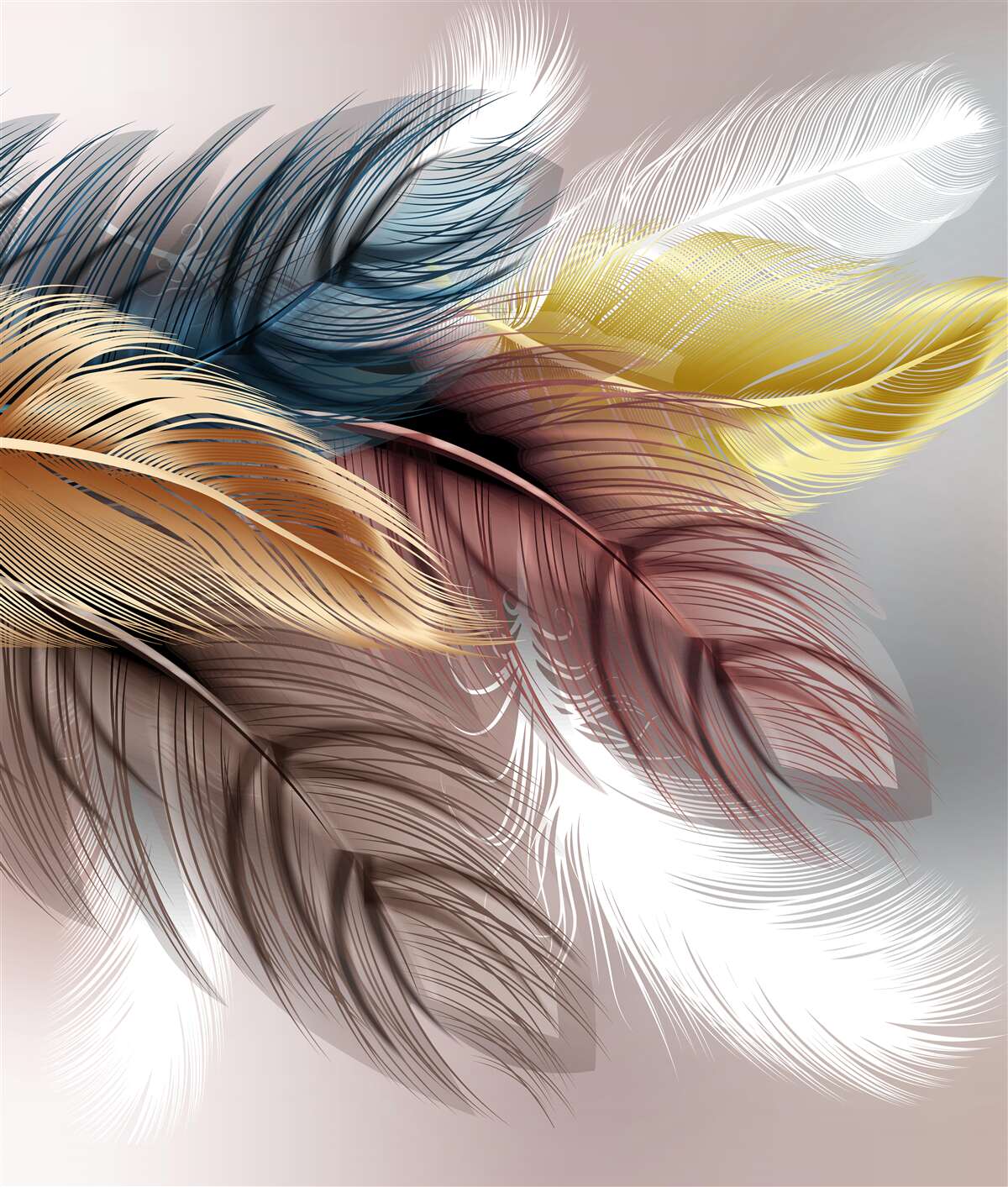 Papier peint le plumage brillant des oiseaux