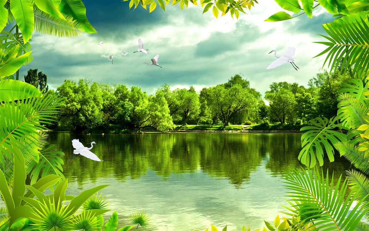 Papier peint lac spectaculaire dans la forêt