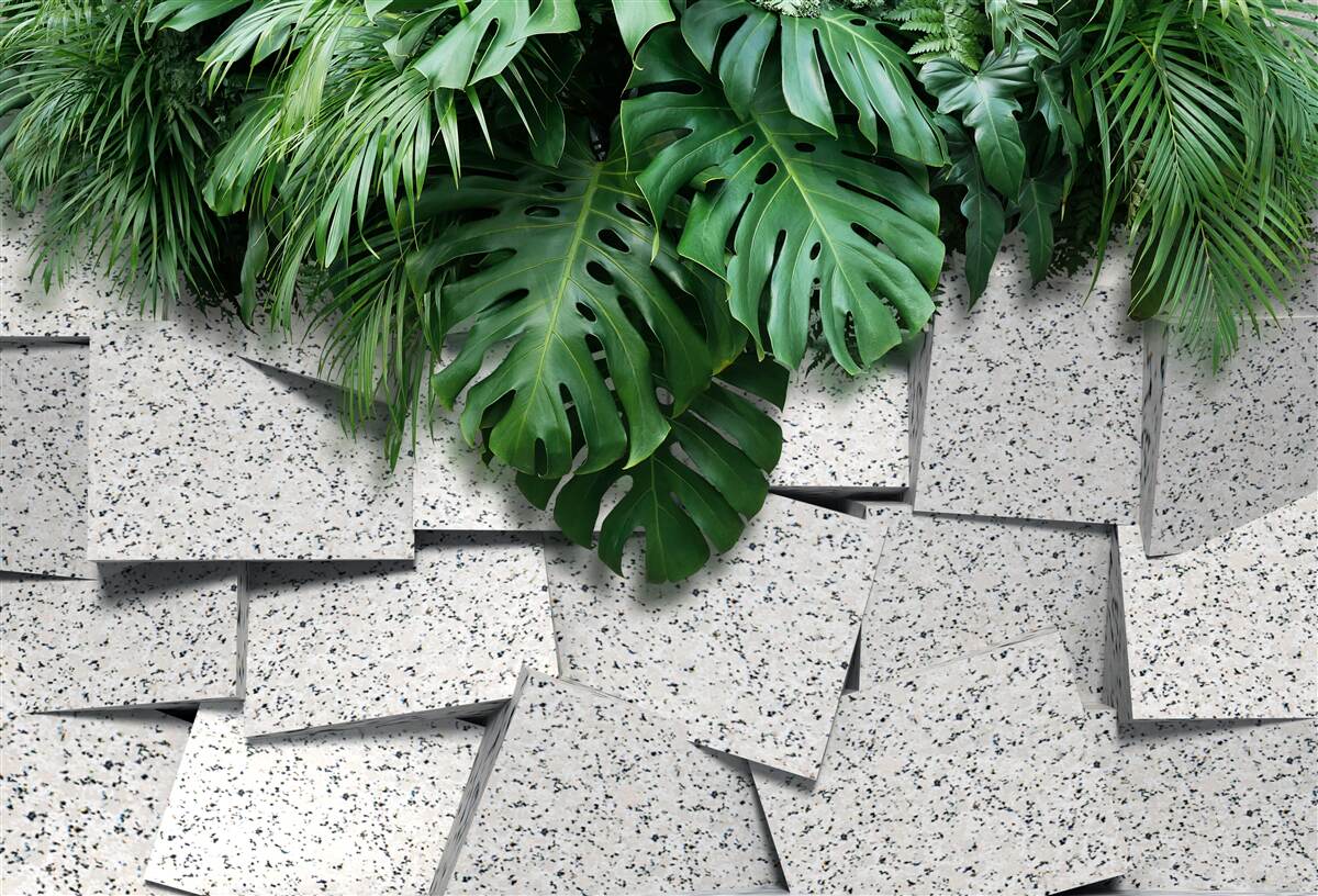 Papier peint monstera dans une atmosphère tropicale sur fond gris