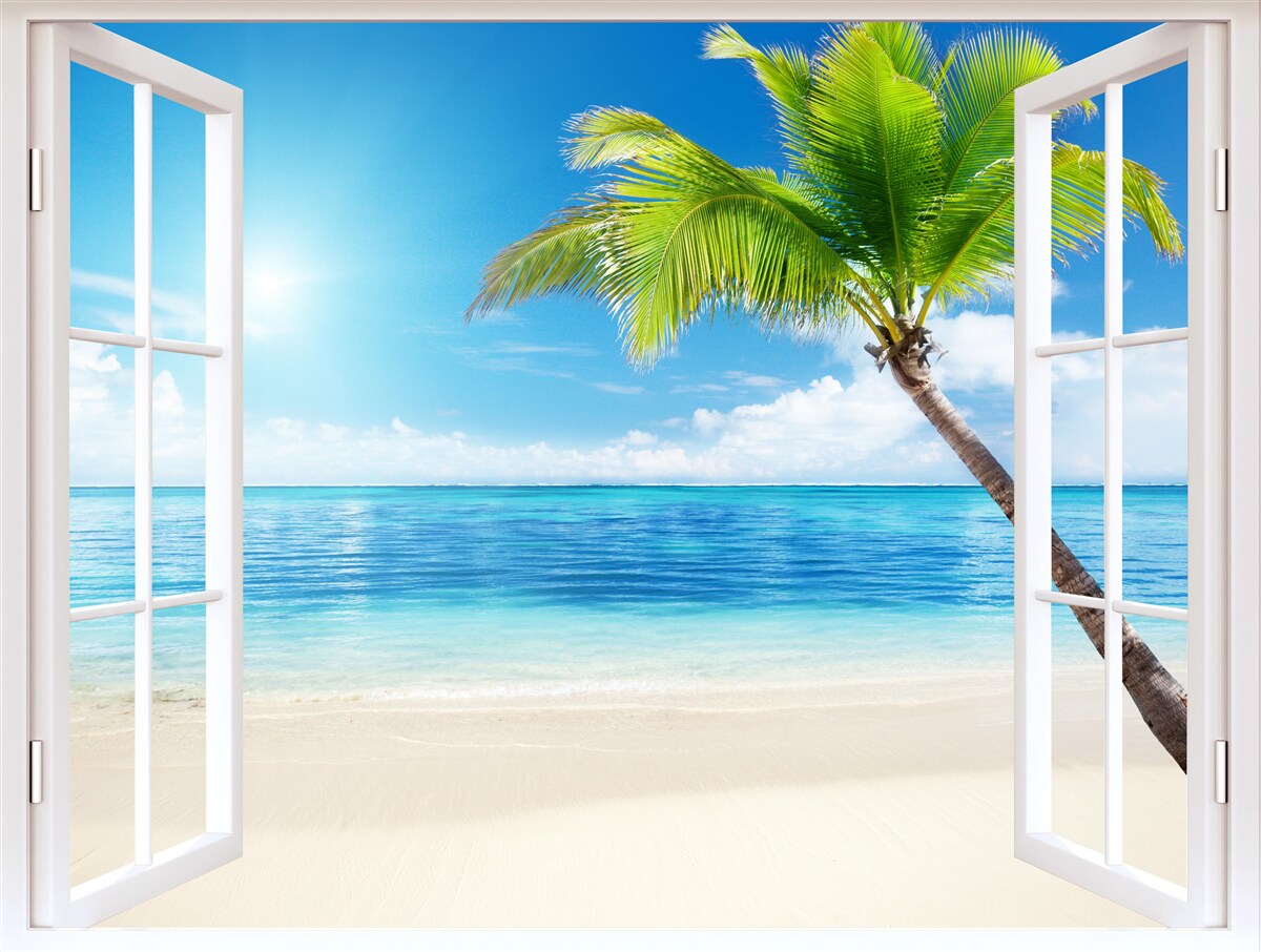 Papier peint De l'autre côté de la fenêtre, un plaisir tropical exotique