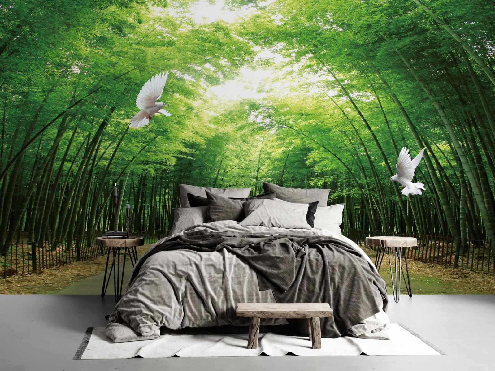 Papier peint entrer dans le jardin botanique, aménagé et peuplé de pigeons