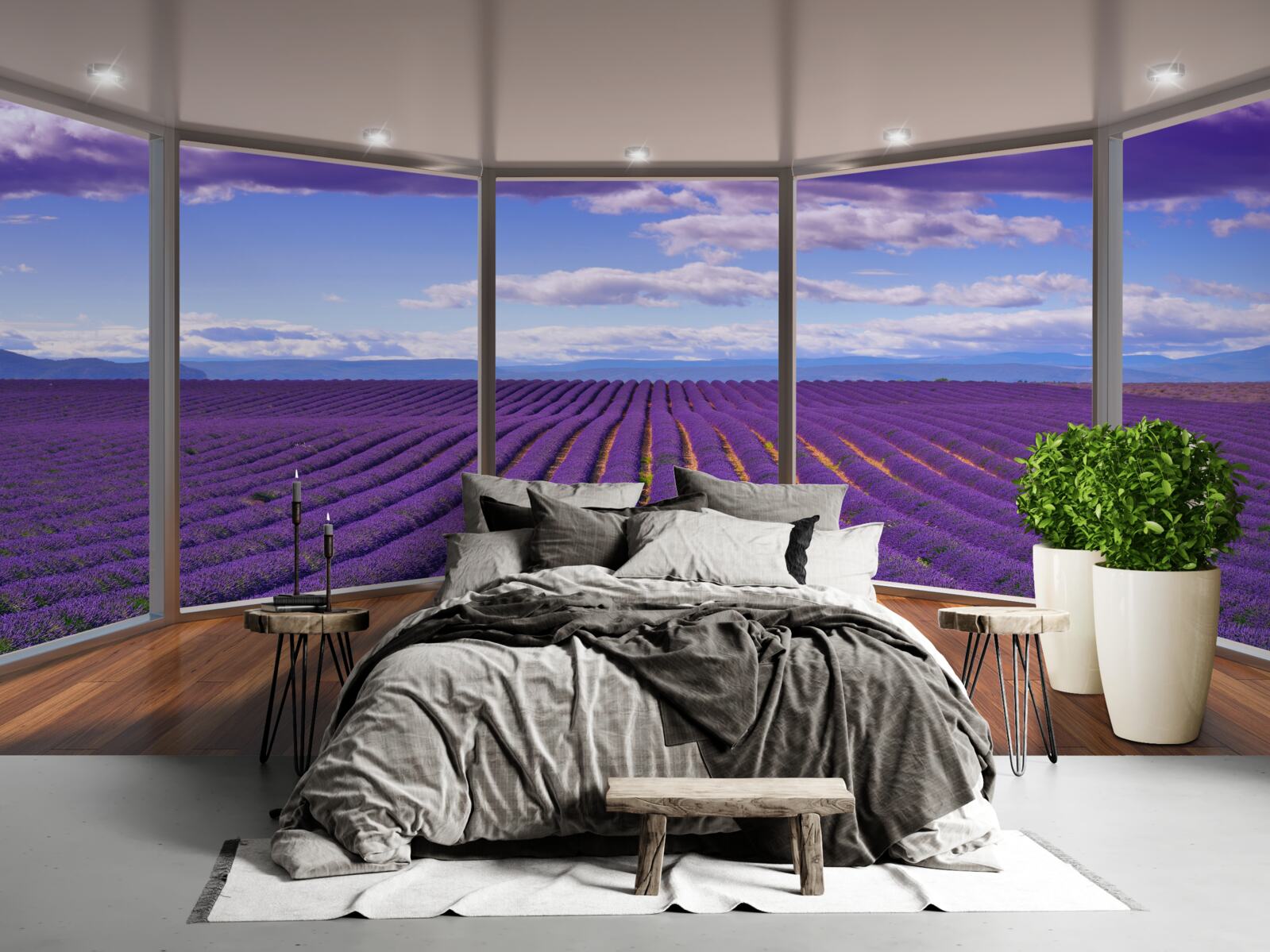Papier peint vue sur le champ de lavande directement depuis le balcon