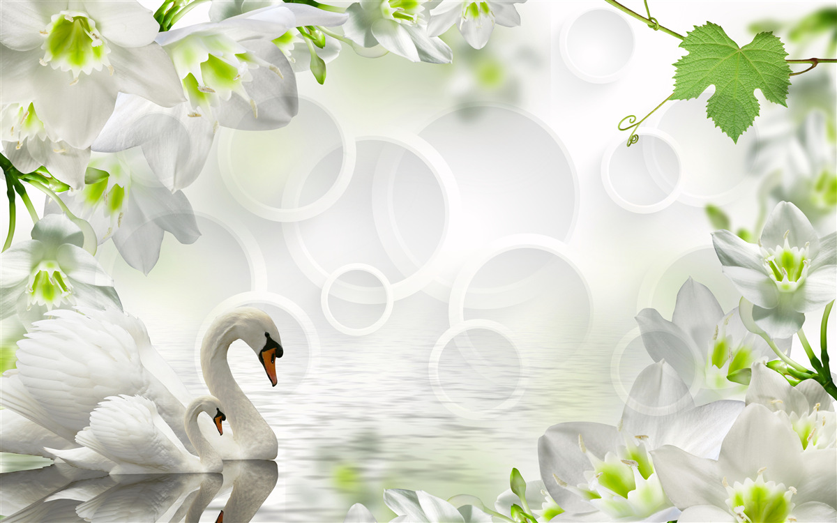 Papier peint fleurs blanches sur un lac parmi les cygnes