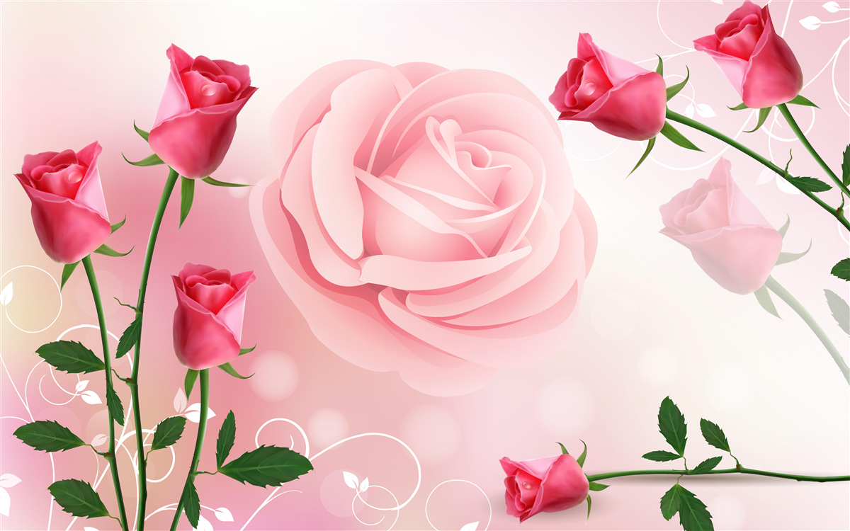 Papier peint lot de boutons de rose roses