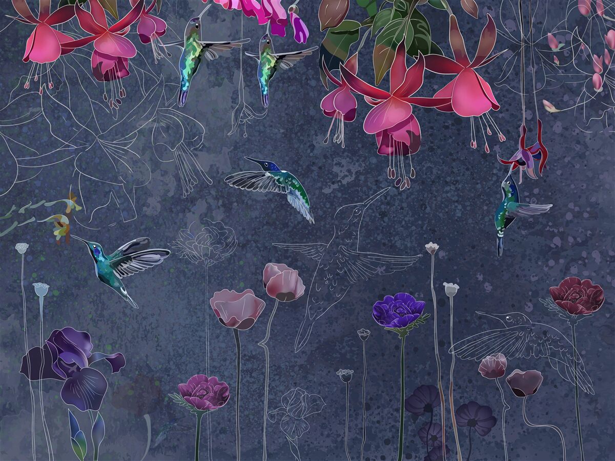 Papier peint le nectar des fleurs est une boisson pour les colibris