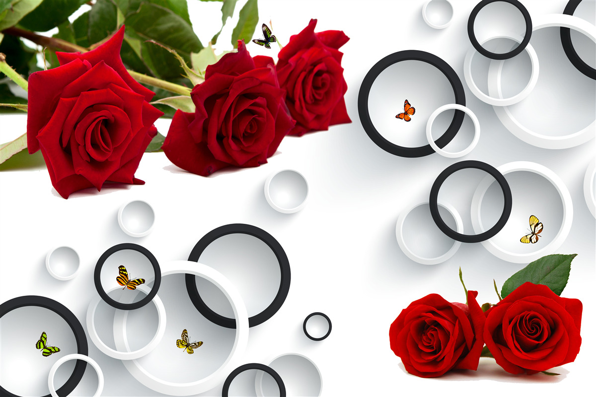 Papier peint cercles et roses en rouge