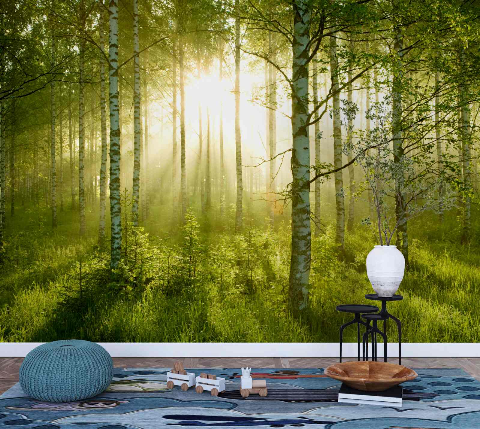 Papier peint Aube dans la forêt de bouleaux