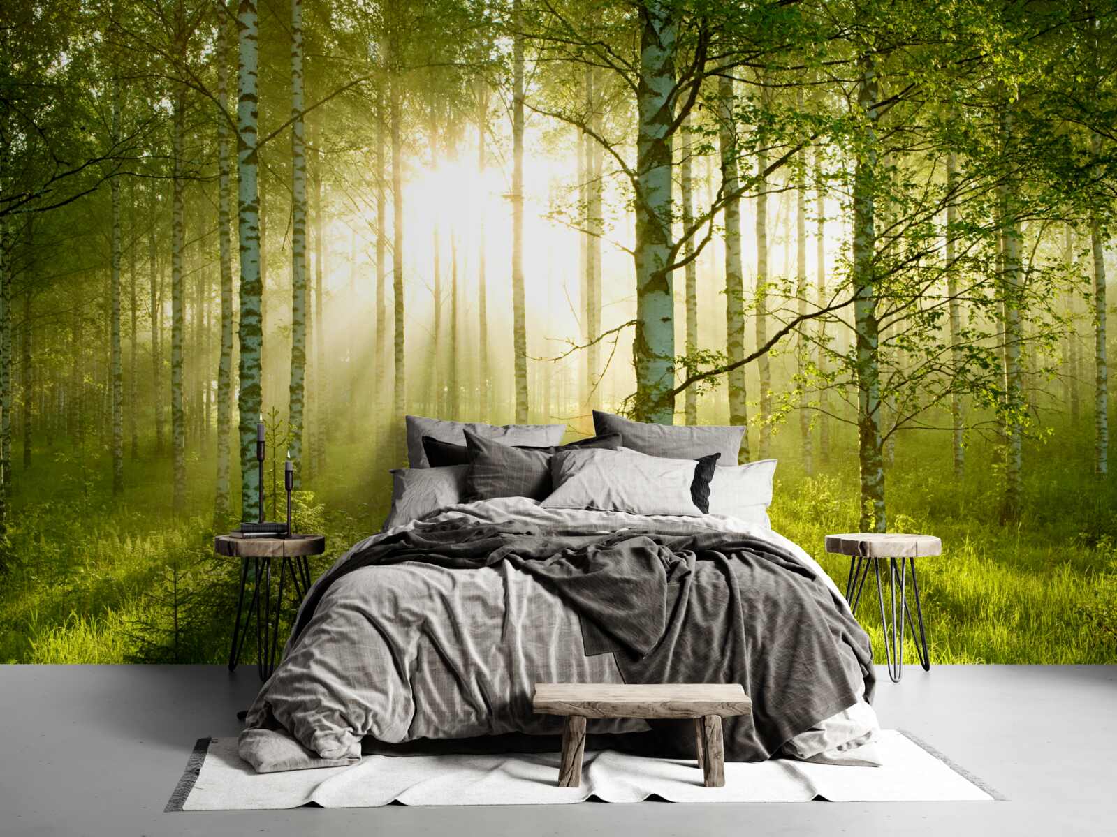 Papier peint Aube dans la forêt de bouleaux