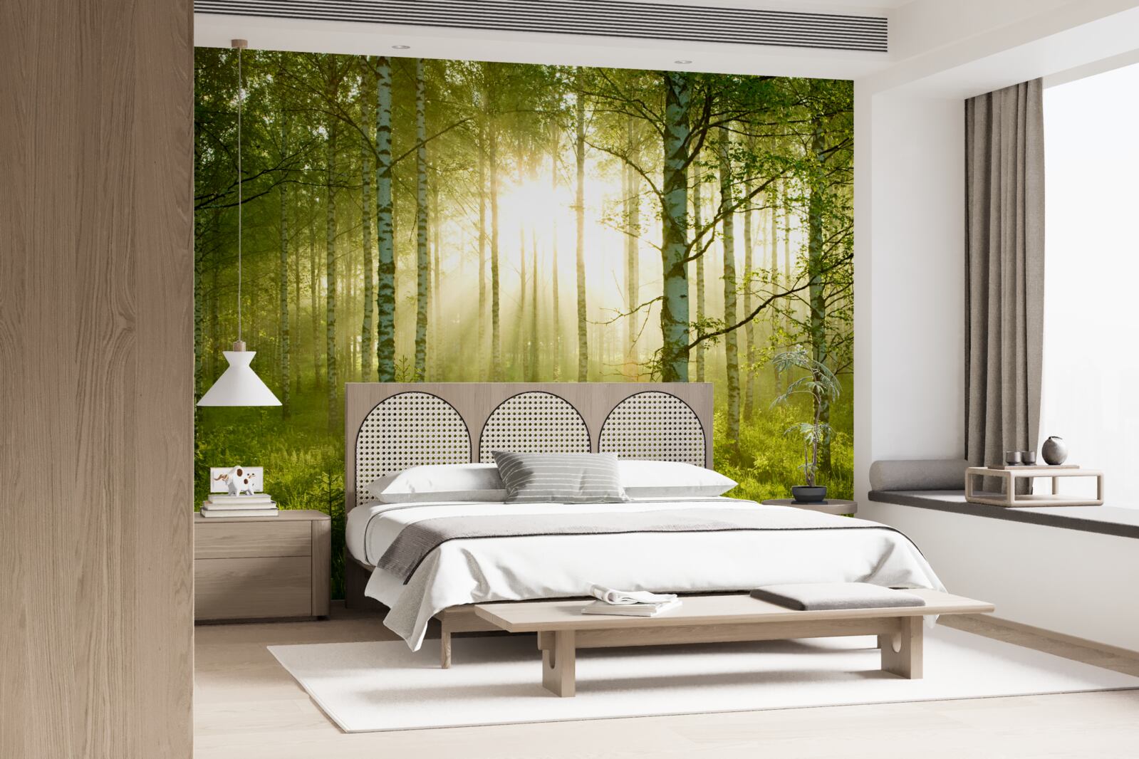 Papier peint Aube dans la forêt de bouleaux