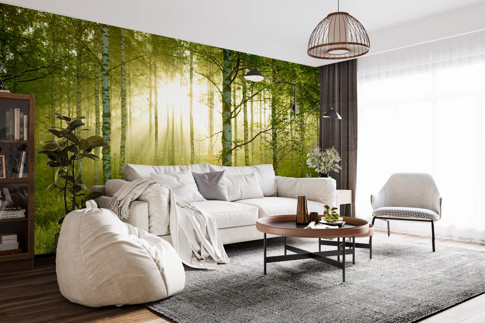 Papier peint Aube dans la forêt de bouleaux