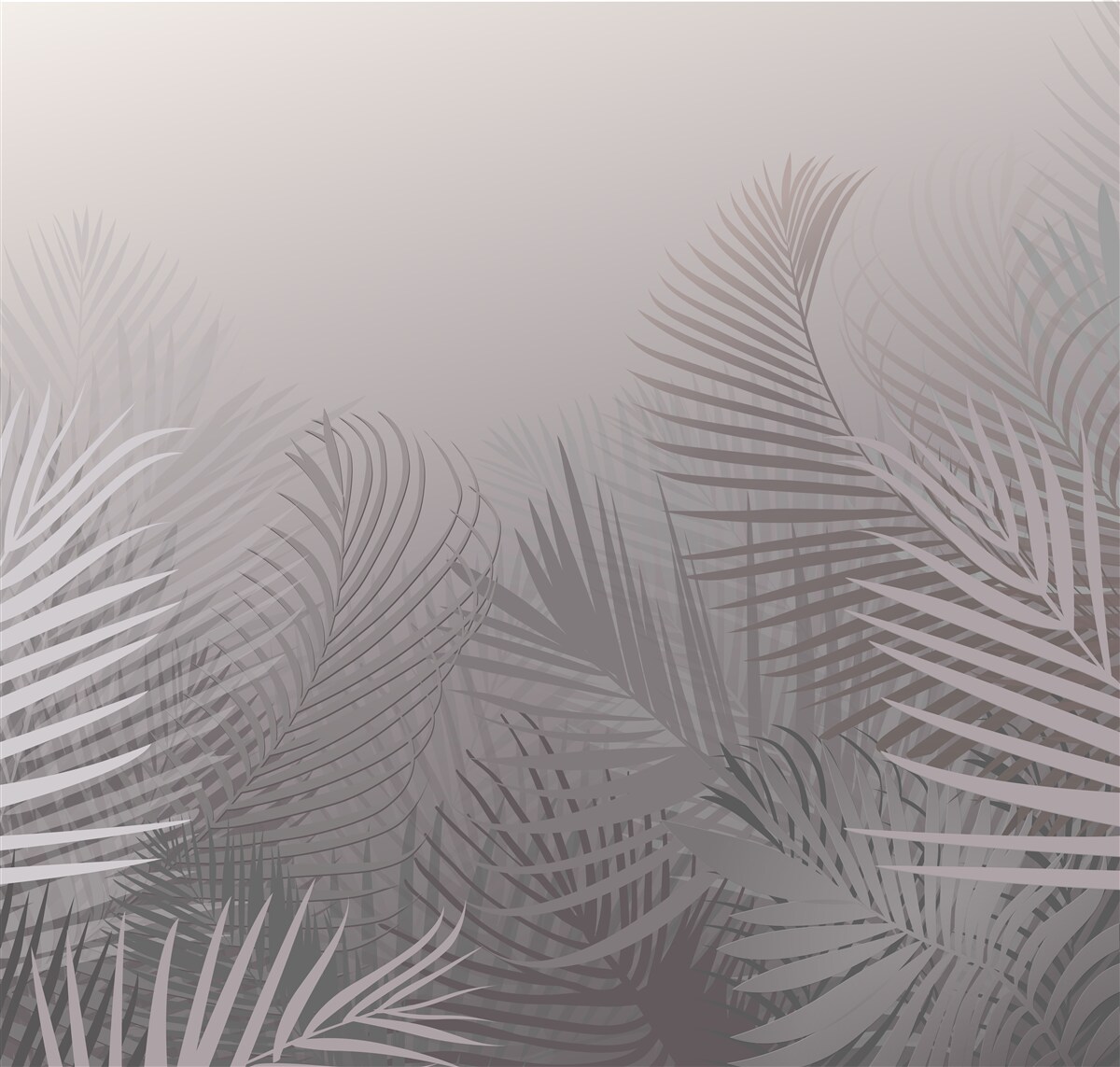 Papier peint l'heure de l'aube fumante dans la forêt tropicale