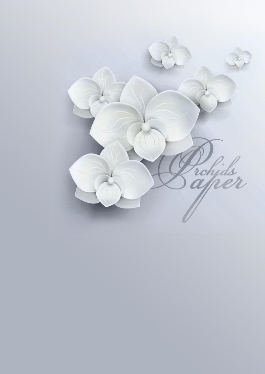 Papier peint fond gris décoré d'orchidées blanches