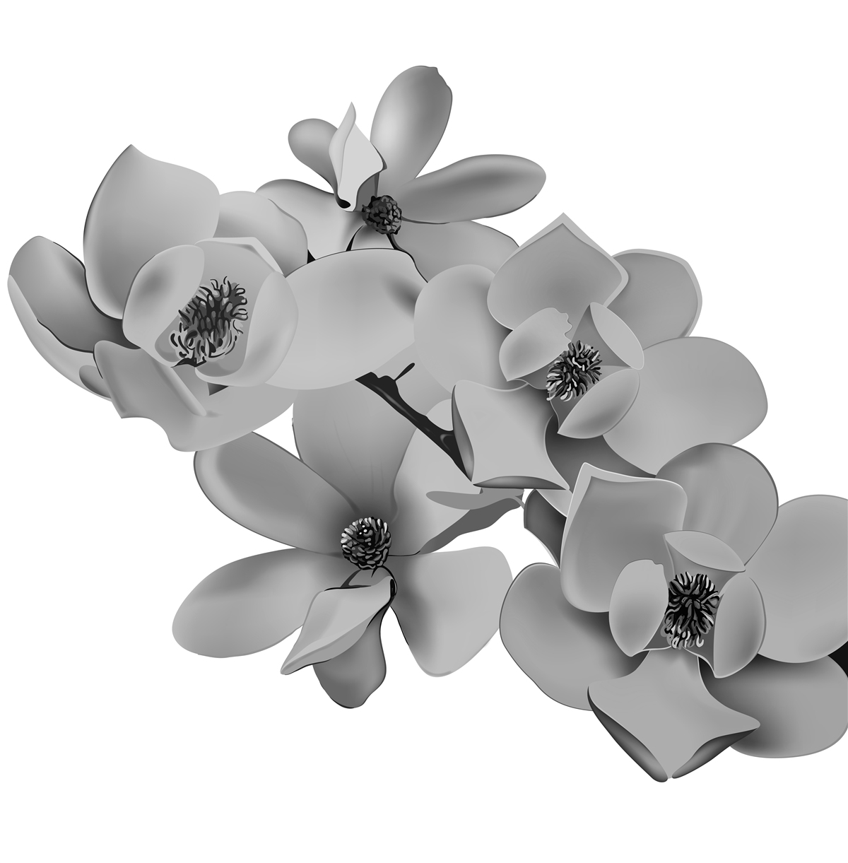 Papier peint fleurs écarlates sur fond blanc pur