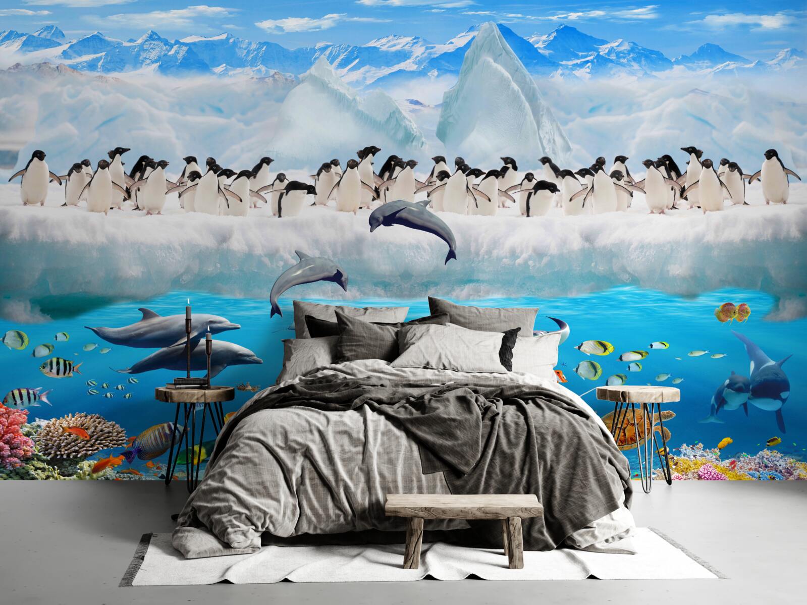 Papier peint les dauphins et les pingouins vivent dans les récifs coralliens