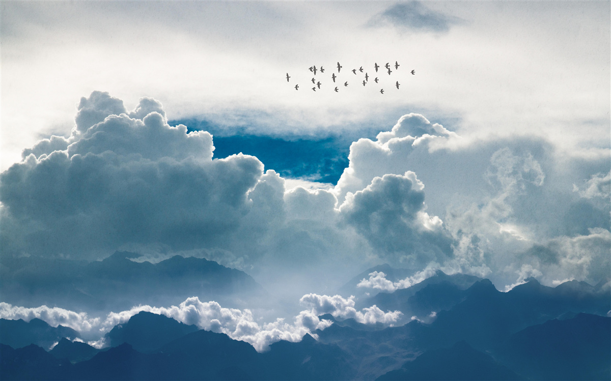 Papier peint groupe d'oiseaux au-dessus de nuages épais