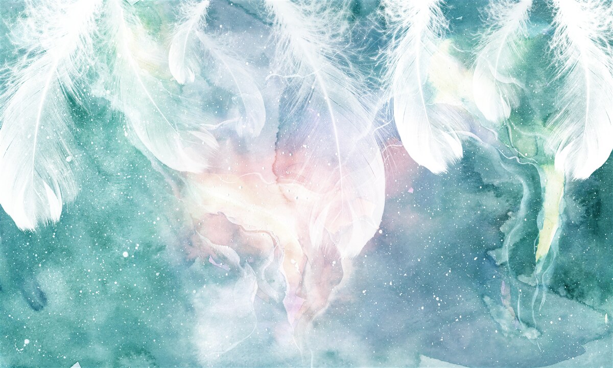 Papier peint arrière-plan avec plumes spatiales