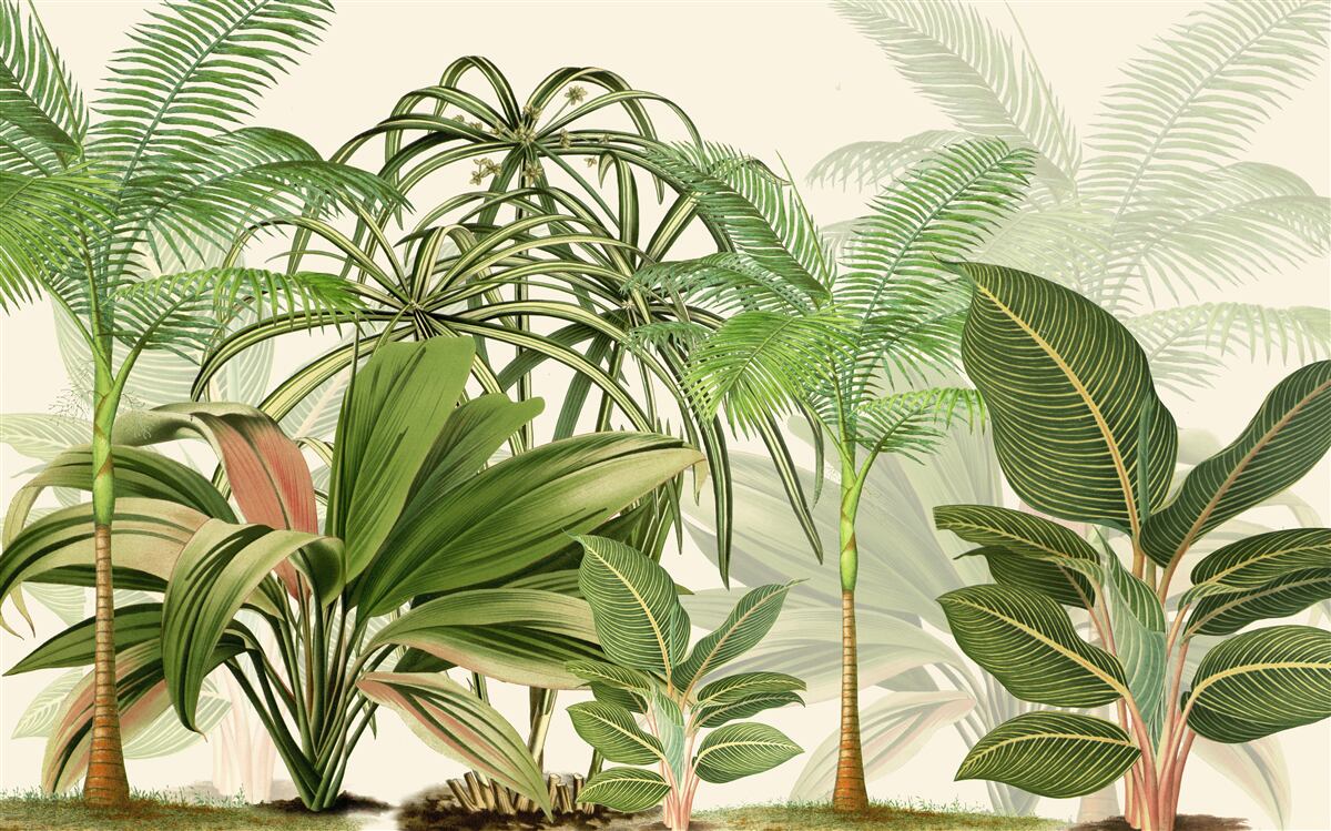 Papier peint les arbres tropicaux, y compris les palmiers