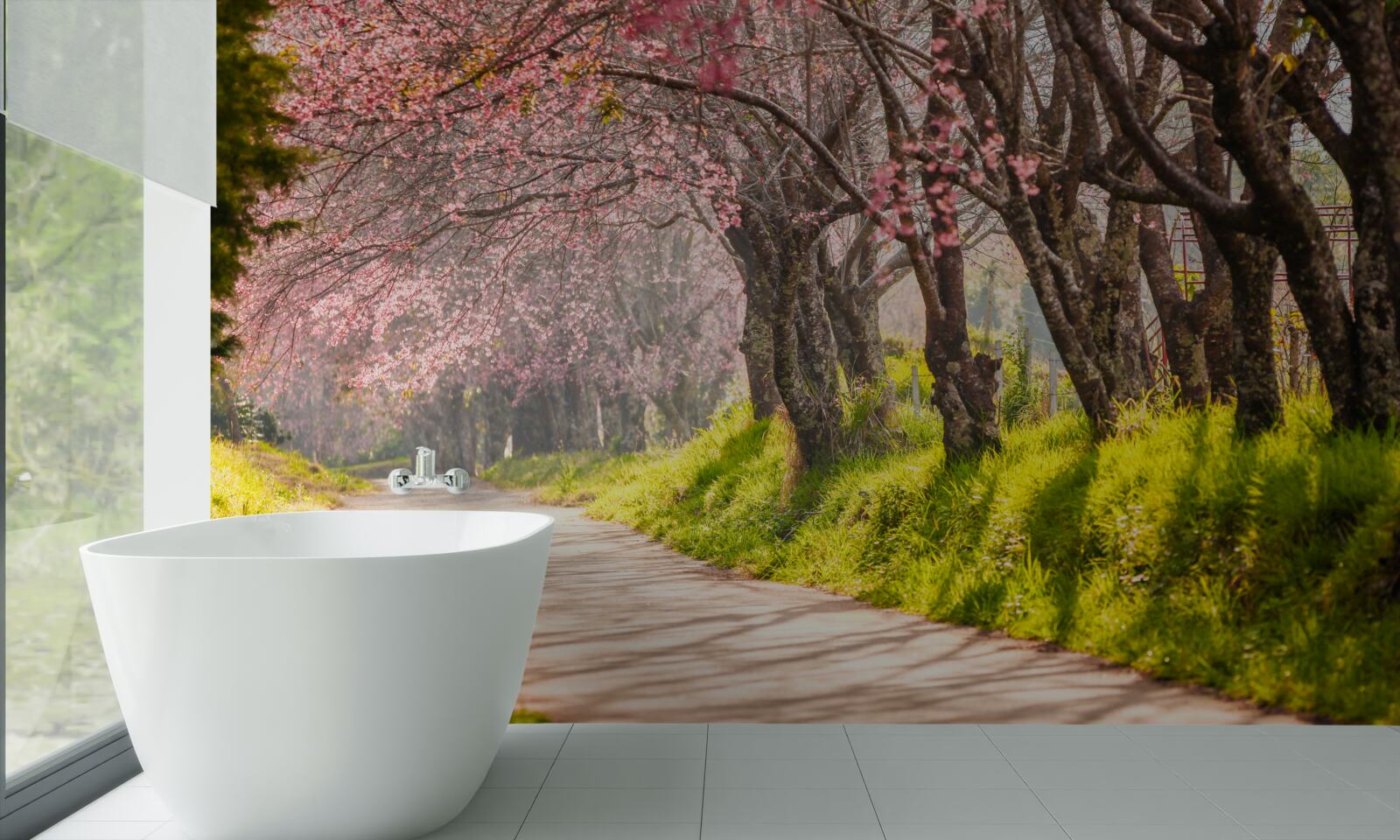 Papier peint arbres en fleurs le long d'une route tranquille