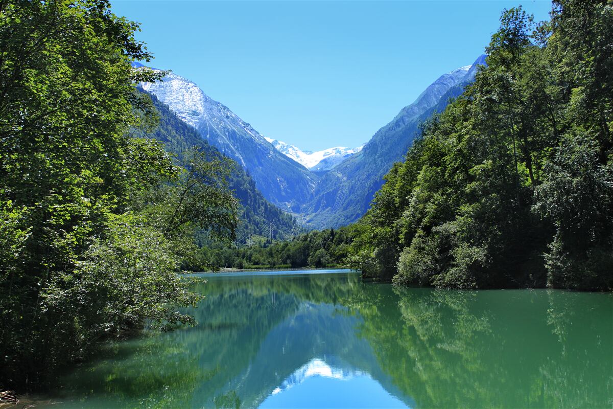 Papier peint un réservoir tranquille caché dans la forêt dense sur les pentes des montagnes