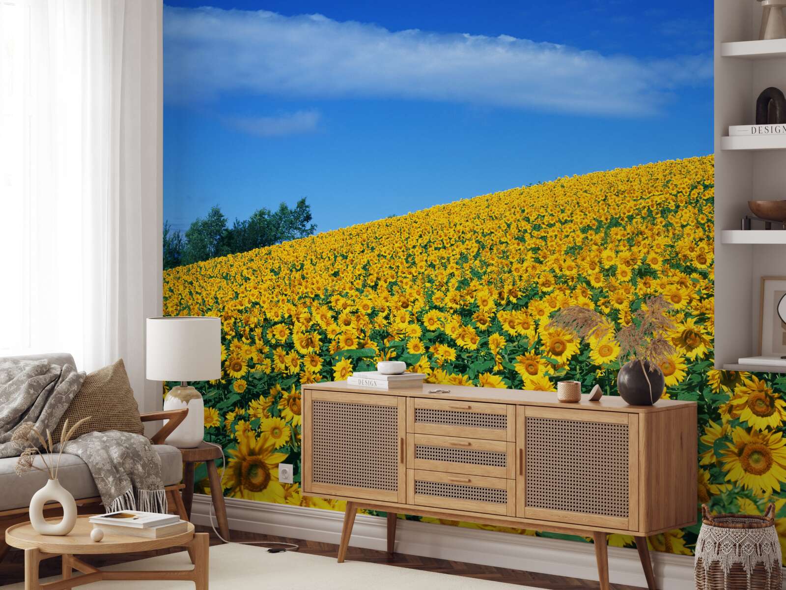 Papier peint Un grand espace avec des tournesols