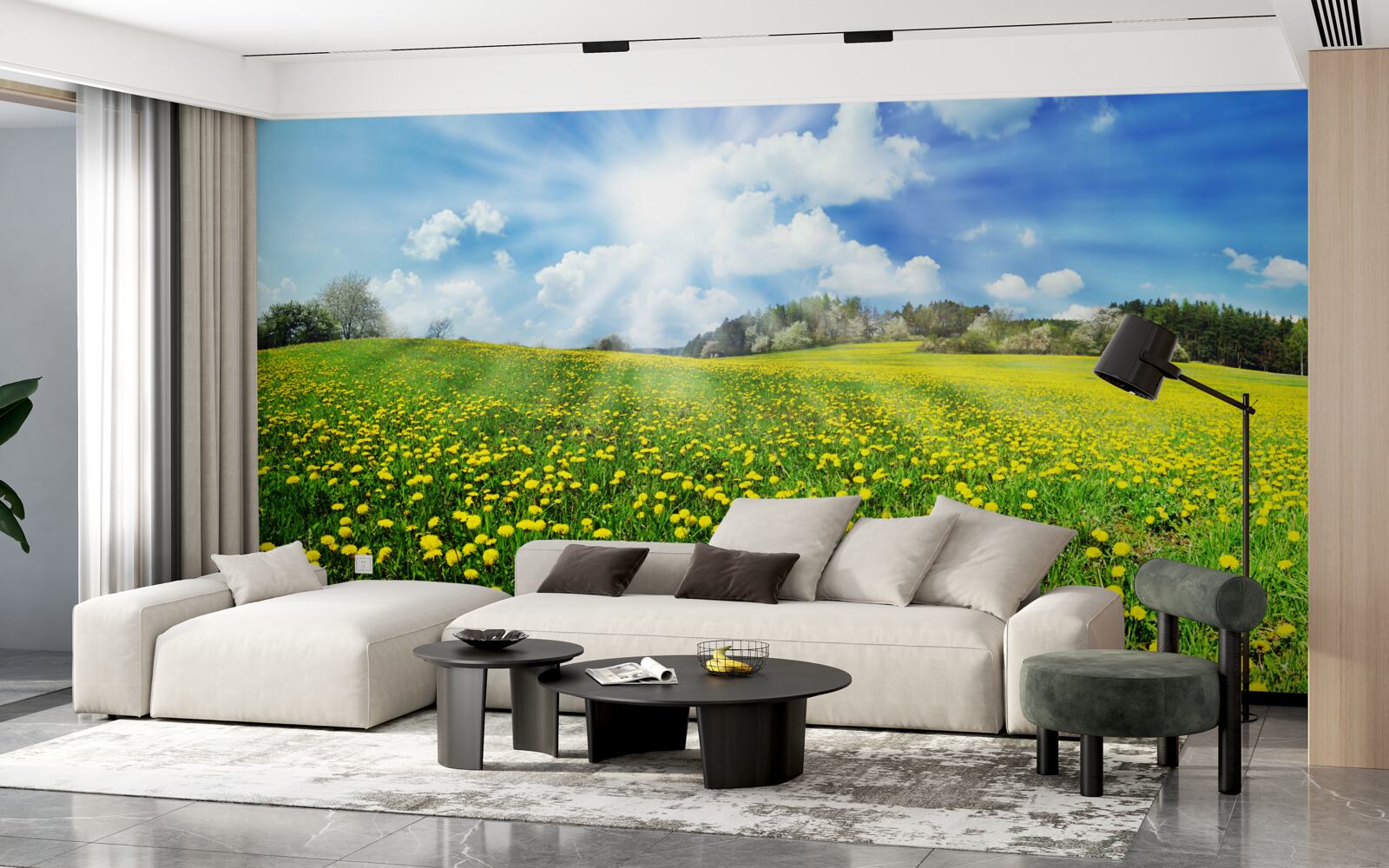 Papier peint espace pissenlit