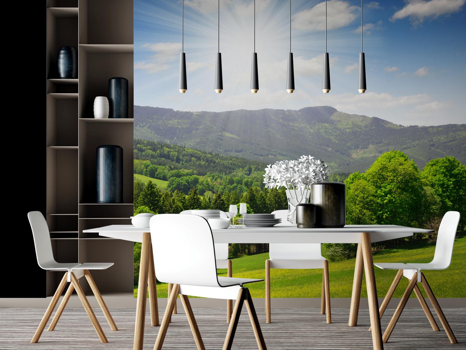 Papier peint le soleil est au plus haut sur une prairie verdoyante