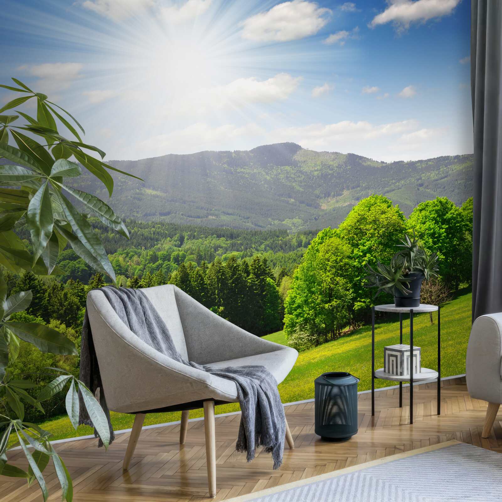 Papier peint le soleil est au plus haut sur une prairie verdoyante