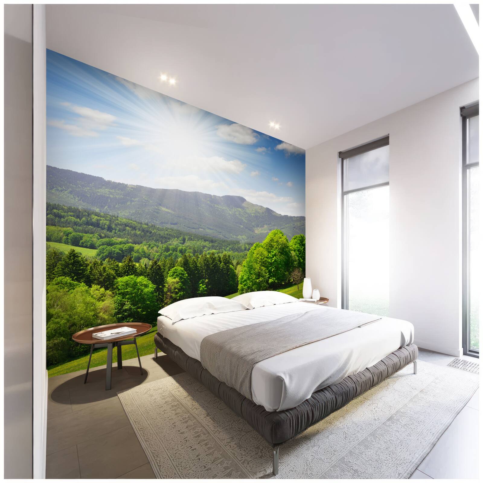 Papier peint le soleil est au plus haut sur une prairie verdoyante