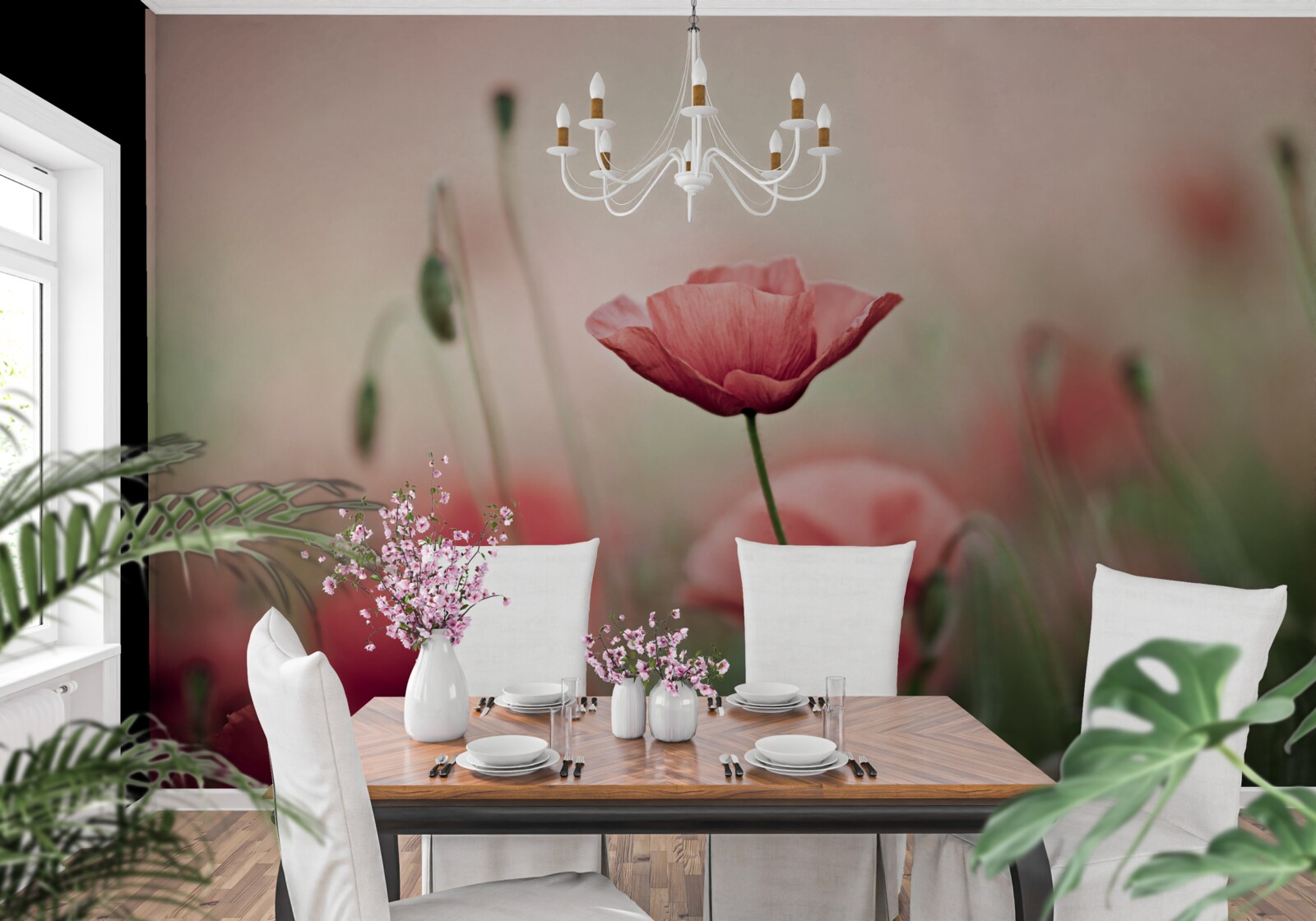 Papier peint coquelicots solitaires et vulnérables