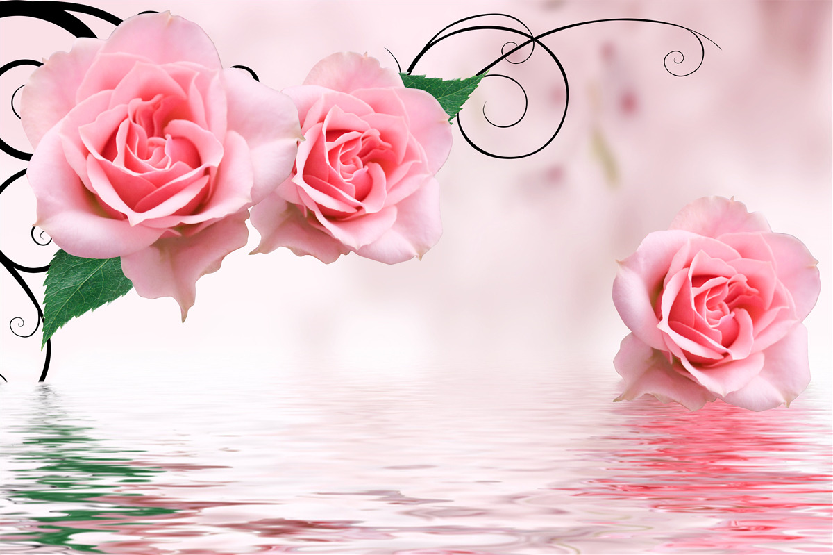 Papier peint reflet d'une rose rose dans l'eau