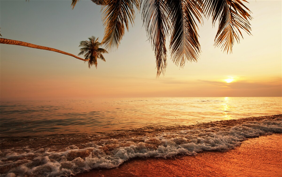 Papier peint île tropicale au coucher du soleil