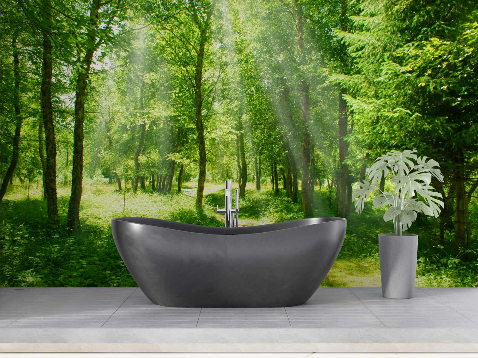 Papier peint les rayons du soleil brillent à travers les couronnes des arbres de la forêt