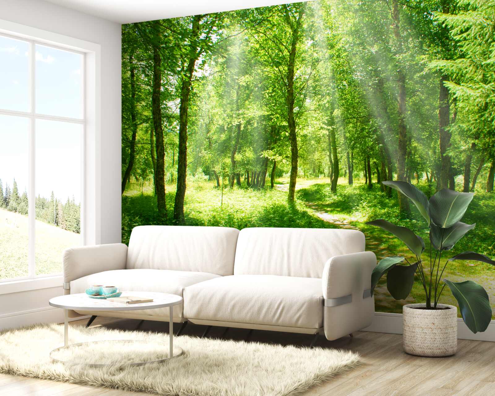 Papier peint les rayons du soleil brillent à travers les couronnes des arbres de la forêt