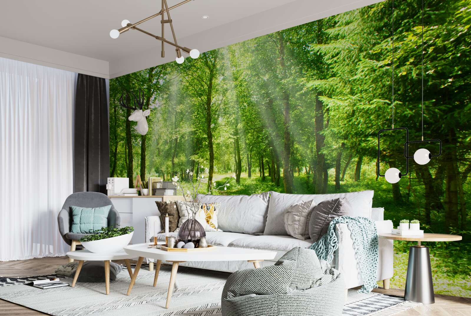 Papier peint les rayons du soleil brillent à travers les couronnes des arbres de la forêt