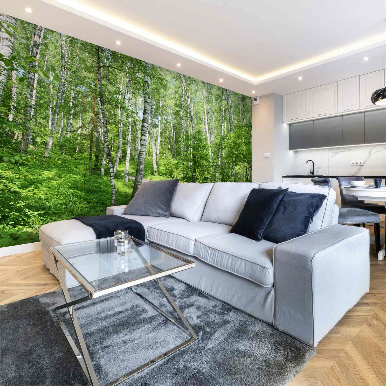 Papier peint Chemin à travers la forêt de bouleaux pendant la saison estivale