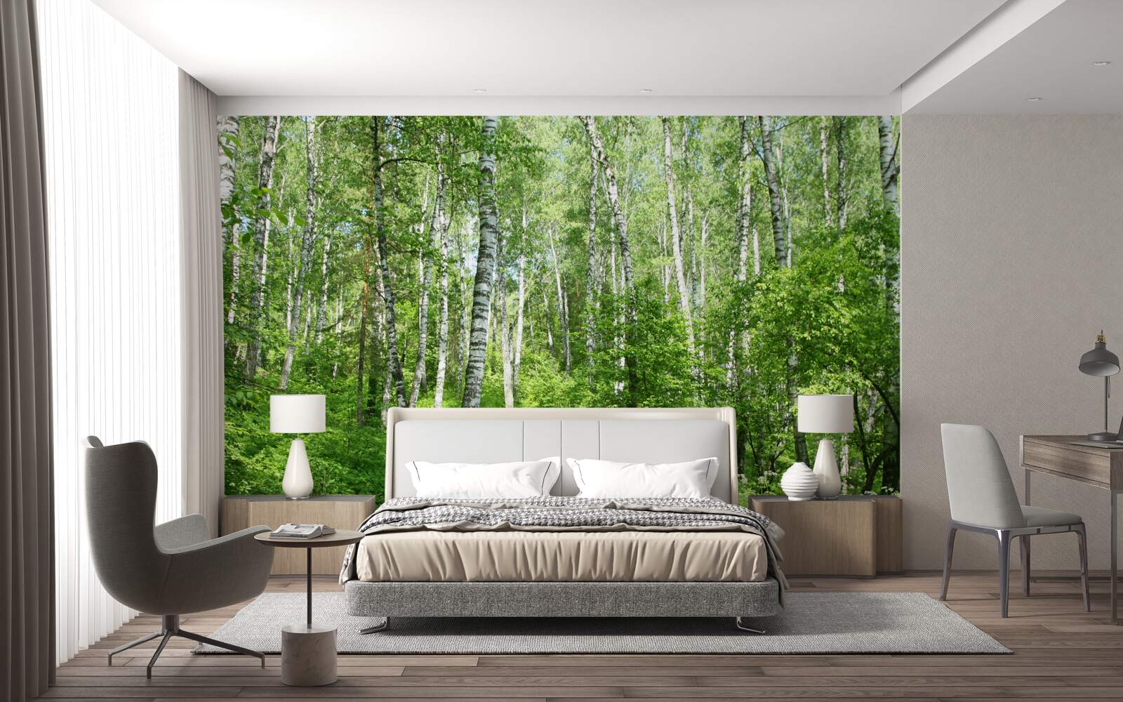 Papier peint Chemin à travers la forêt de bouleaux pendant la saison estivale