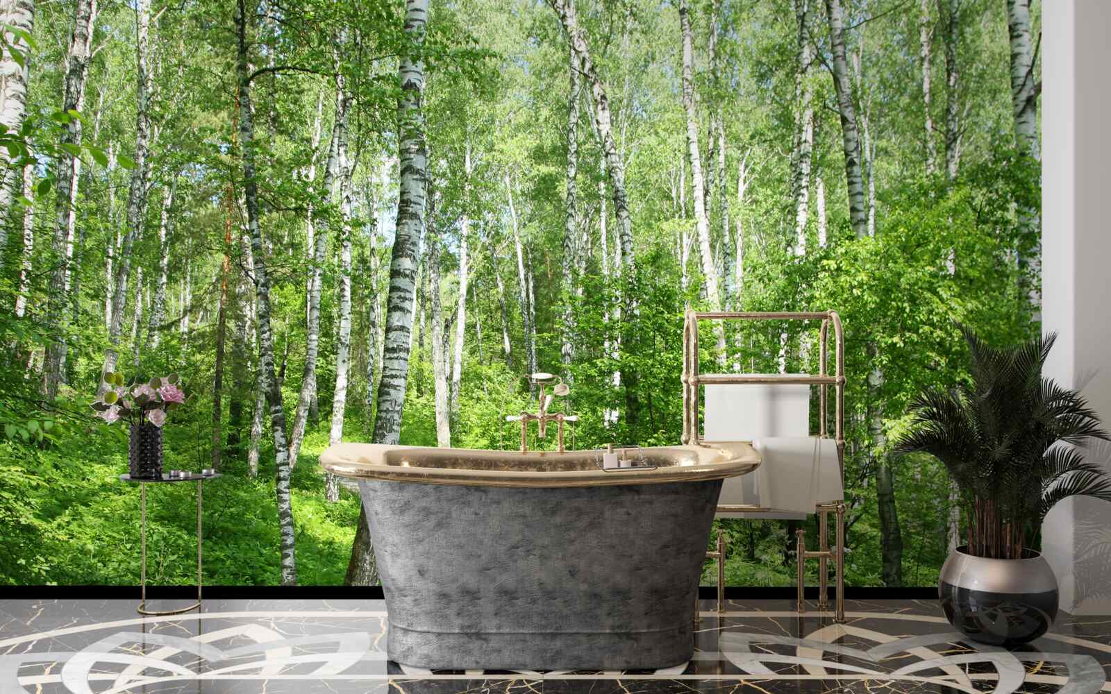 Papier peint Chemin à travers la forêt de bouleaux pendant la saison estivale