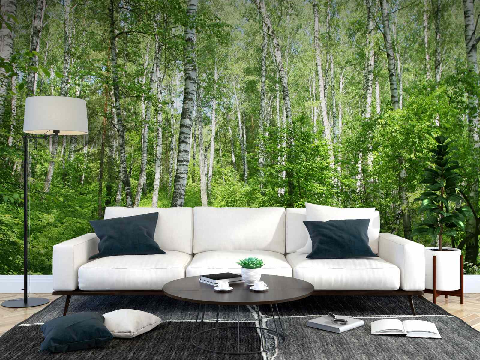 Papier peint Chemin à travers la forêt de bouleaux pendant la saison estivale