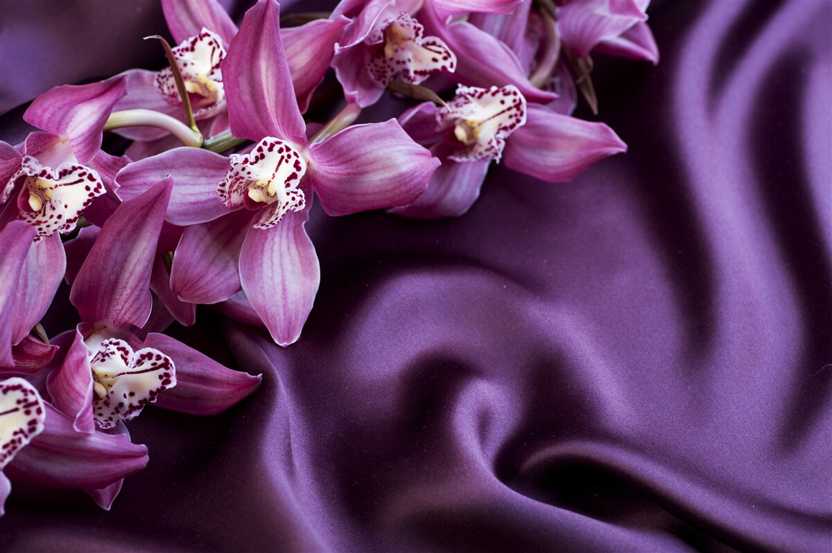 Papier peint orchidées violettes sur satin de la même teinte