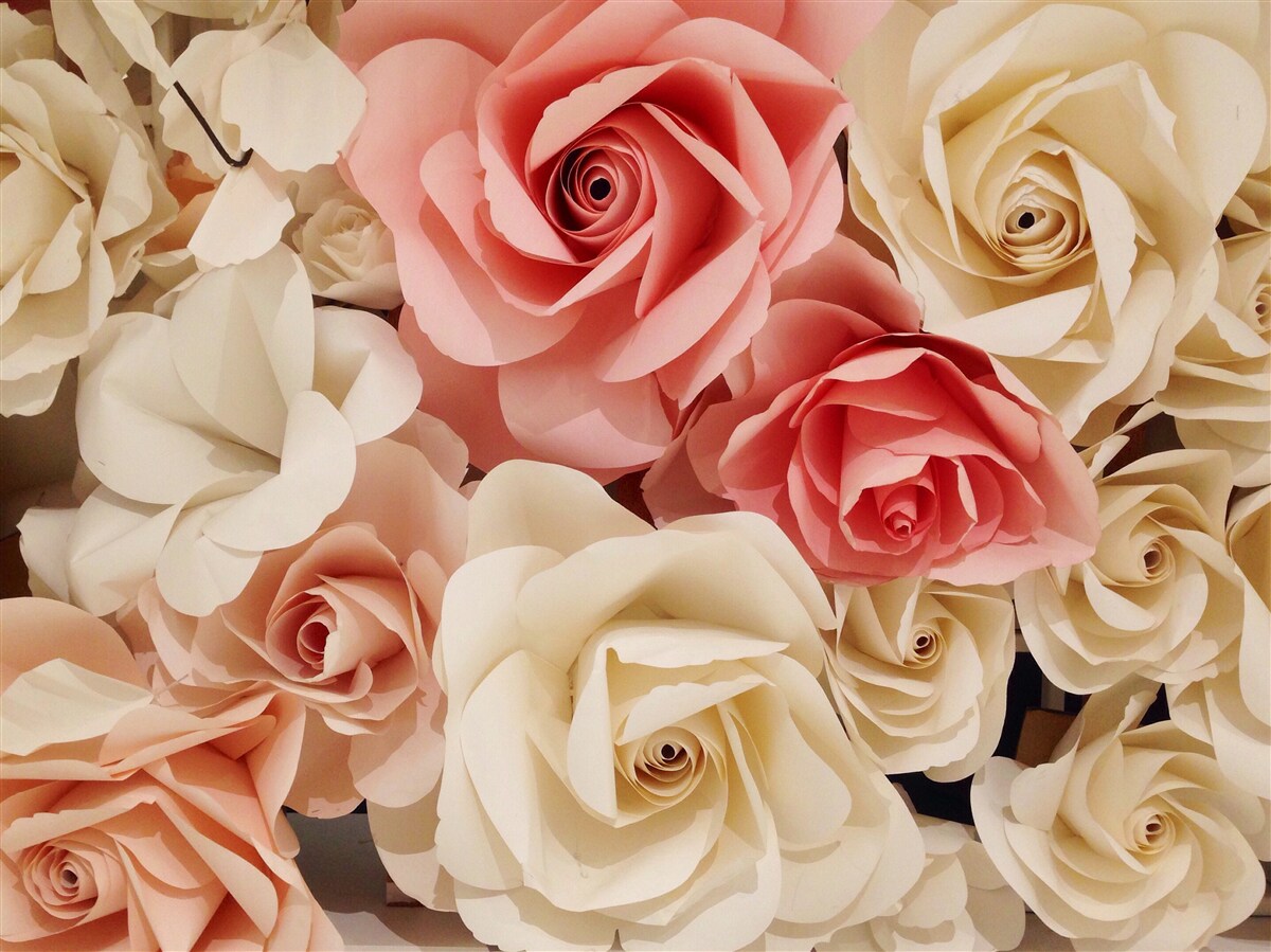 Papier peint un beau bouquet de roses dans les tons crème et rose