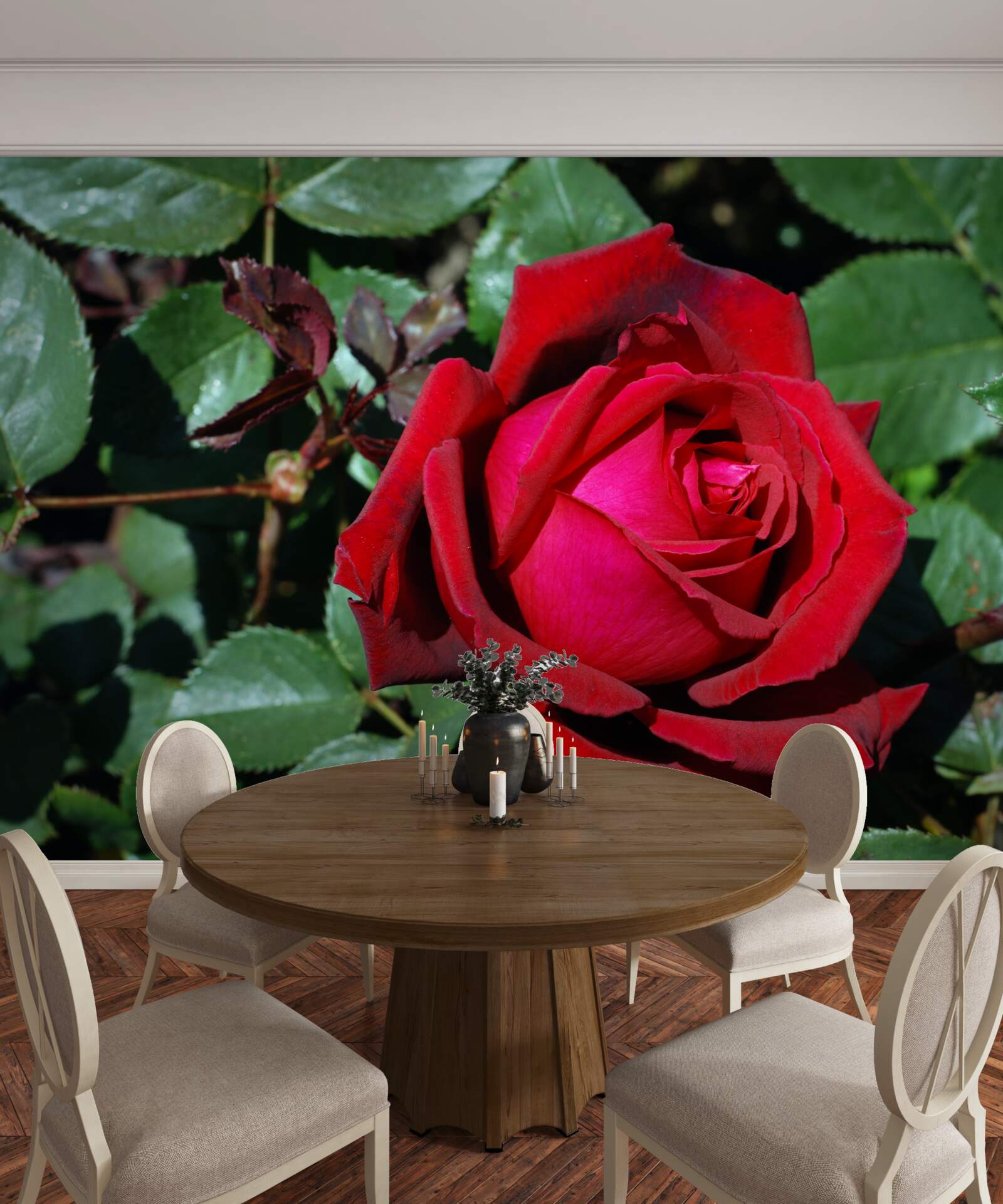 Papier peint une rose écarlate a fleuri dans le jardin