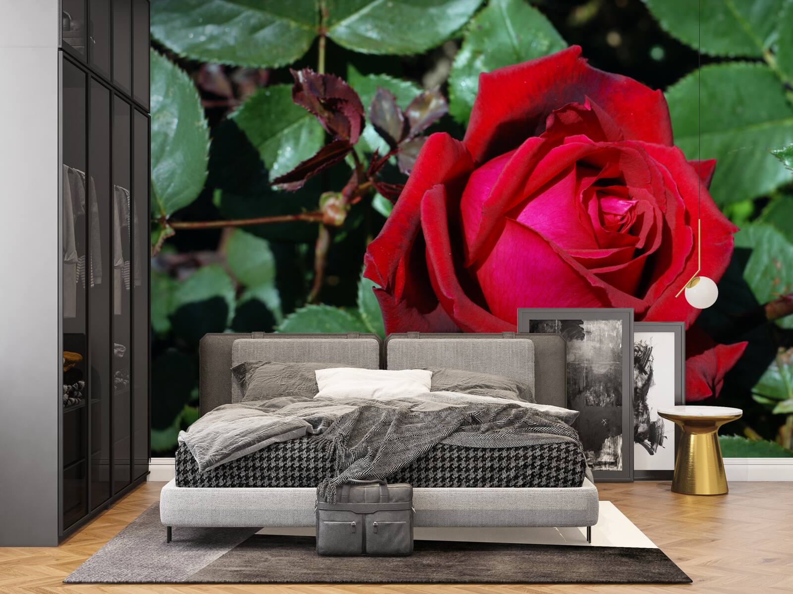 Papier peint une rose écarlate a fleuri dans le jardin