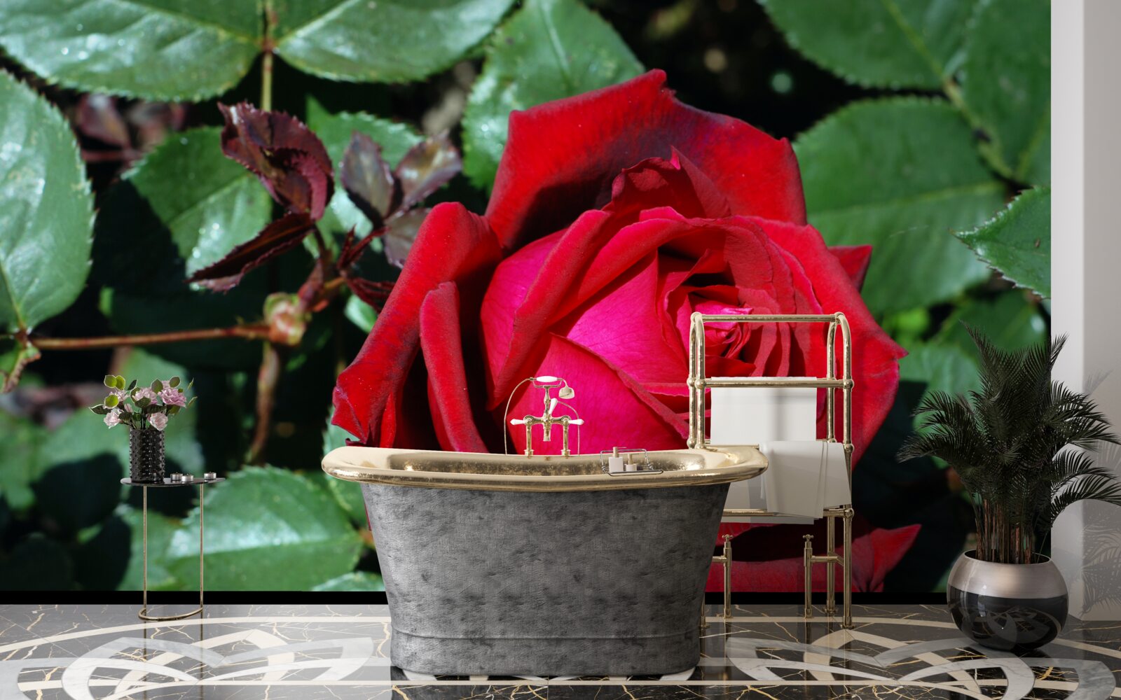 Papier peint une rose écarlate a fleuri dans le jardin