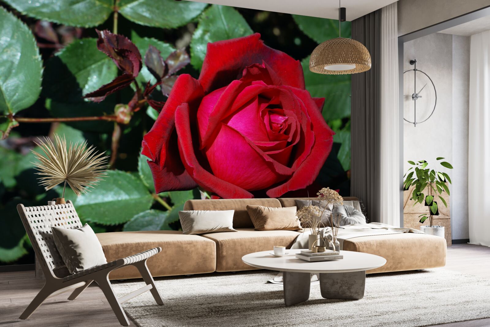 Papier peint une rose écarlate a fleuri dans le jardin