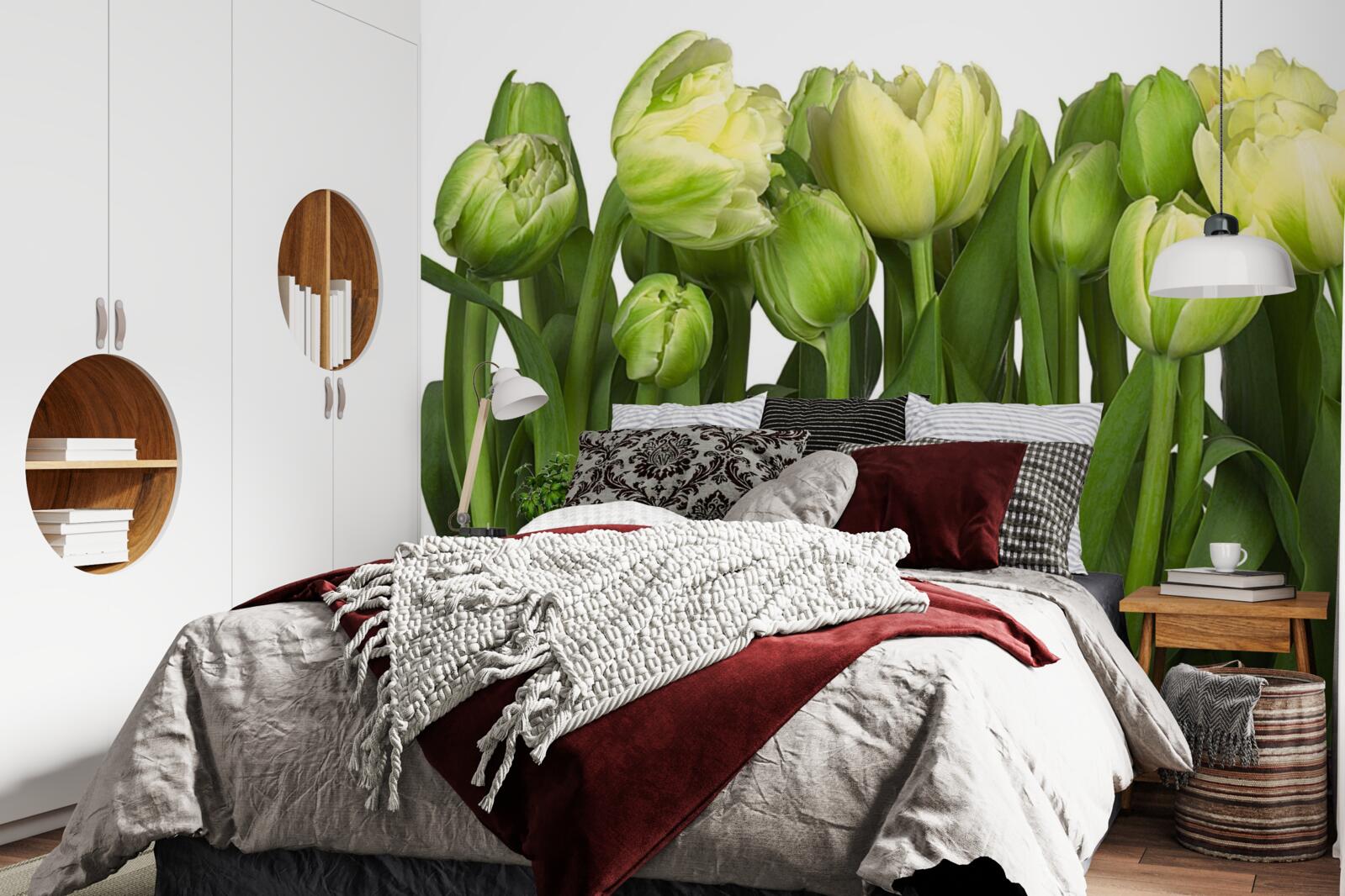 Papier peint ensemble de tulipes légères partiellement ouvertes