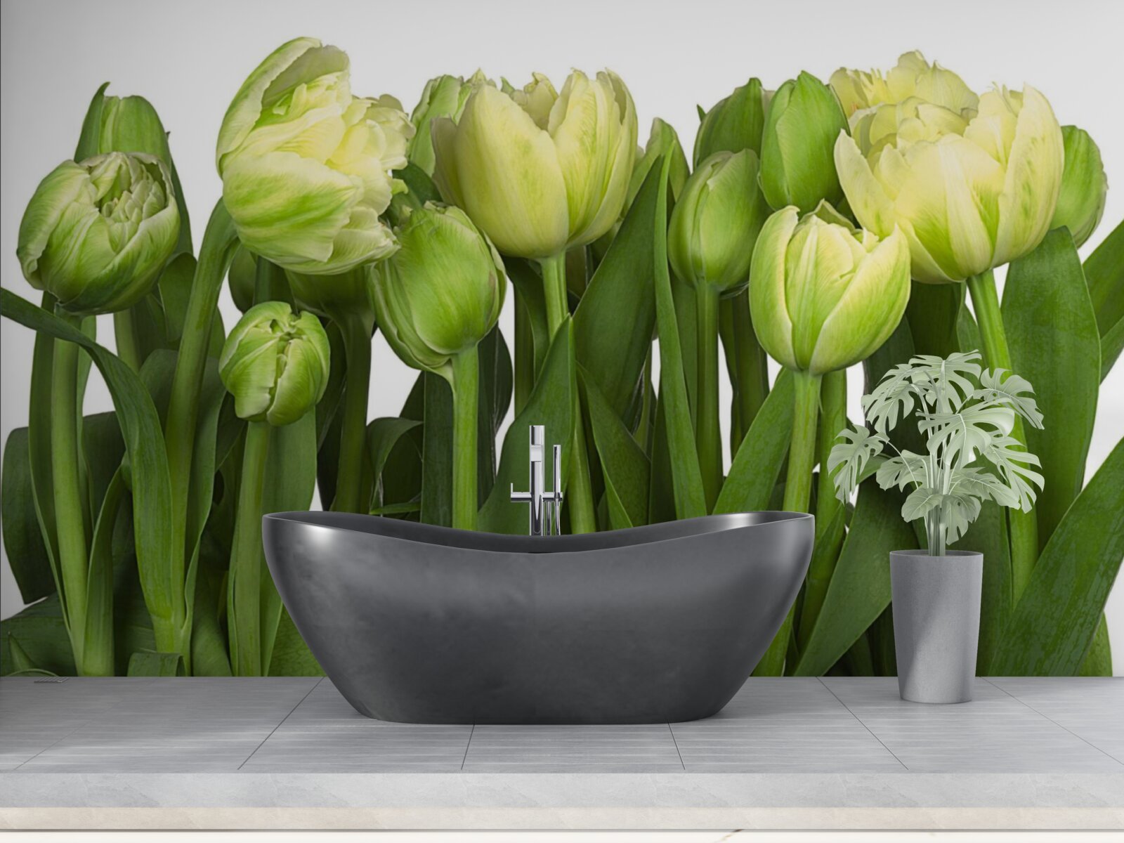 Papier peint ensemble de tulipes légères partiellement ouvertes